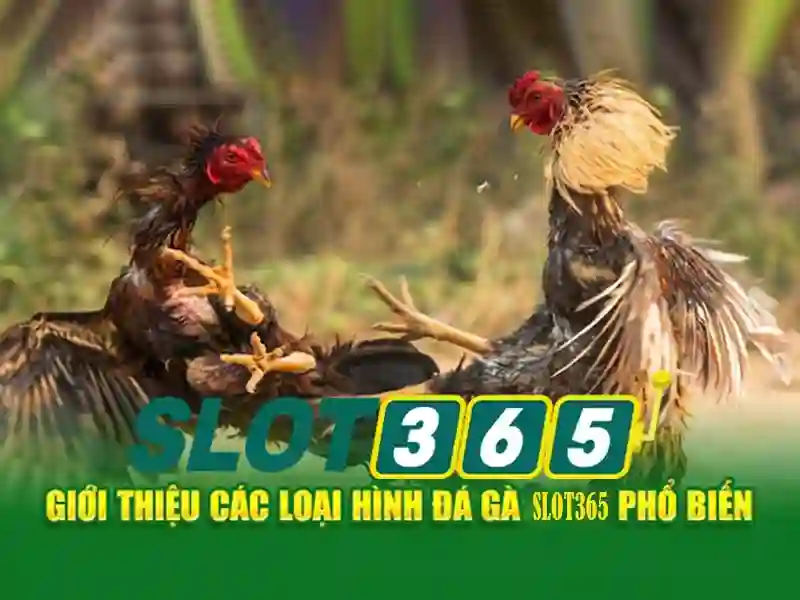 SLOT365 – Nền Tảng Cá Cược Trực Tuyến Đa Dạng Cho Người Chơi Hiện Đại