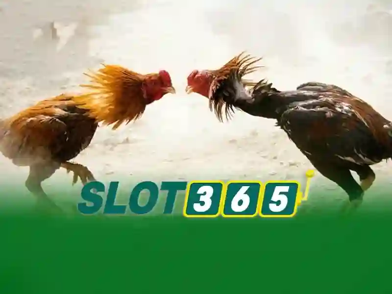 Tận Hưởng Trải Nghiệm Game Slot365