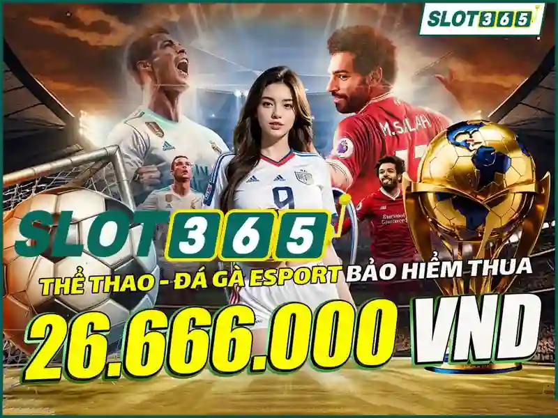 Slot365 rút tiền nhanh chóng