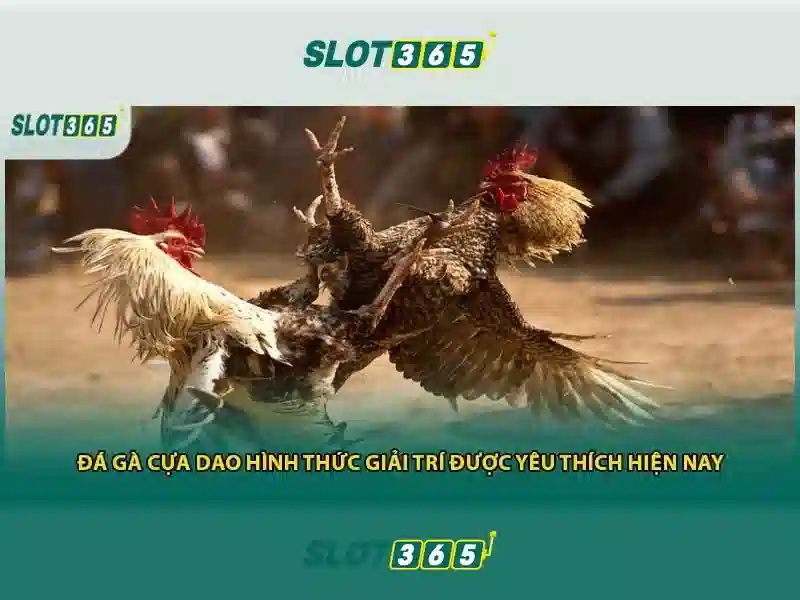 chương trình thưởng Slot365
