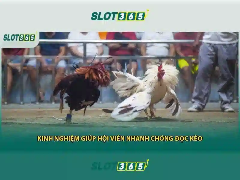 slot365 ưu đãi