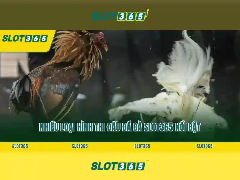 Tải App Slot365