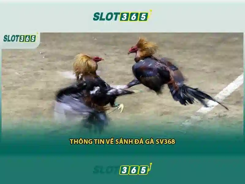 Trò Chơi Slot365 Đa Dạng Và Đỉnh Cao
