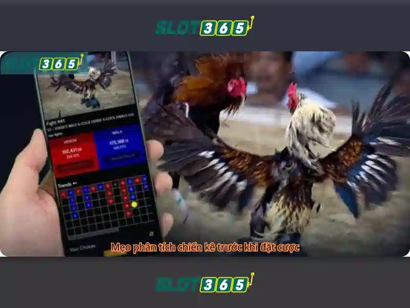 khuyến mãi Slot365