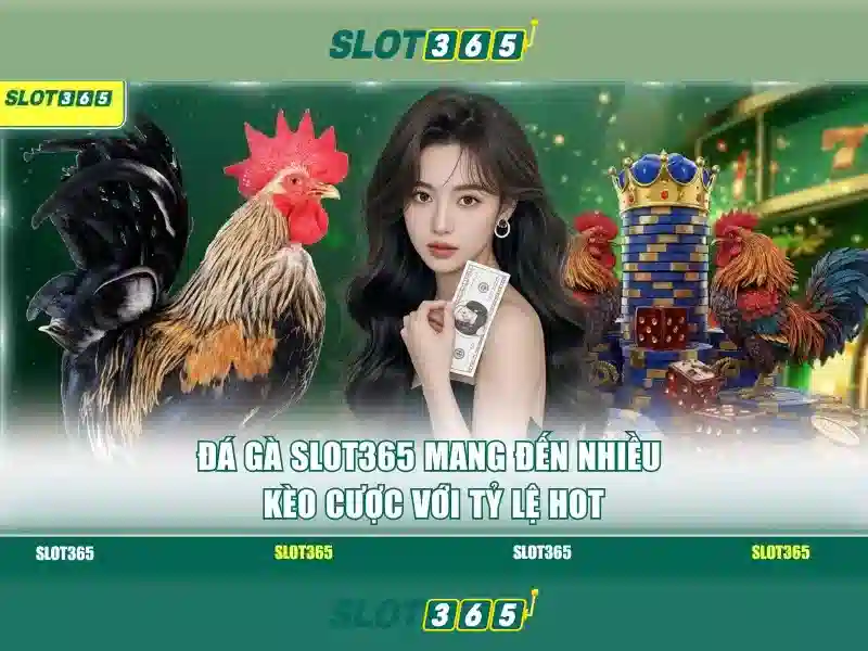 Hướng dẫn Slot365
