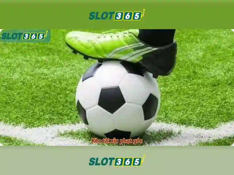 Hệ Thống Trò Chơi Slot365