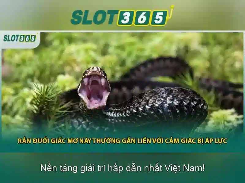 bảo mật thông tin