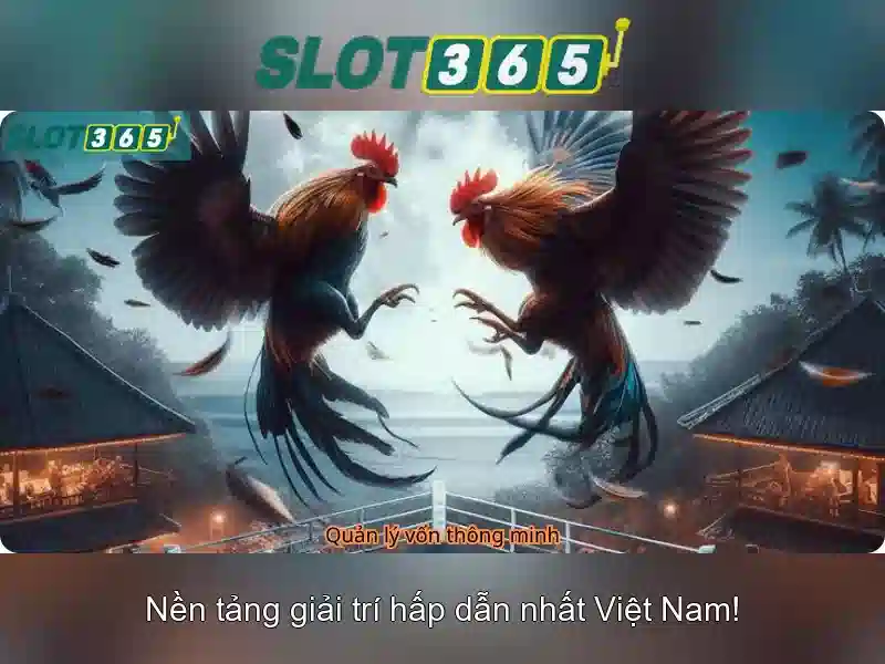 Cài đặt Slot365