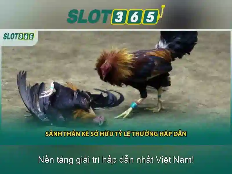 trải nghiệm slot365