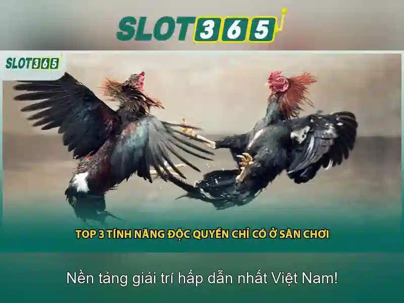 hướng dẫn Slot365