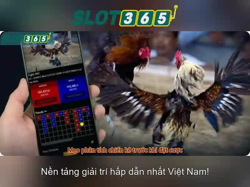 Rút Tiền Slot365
