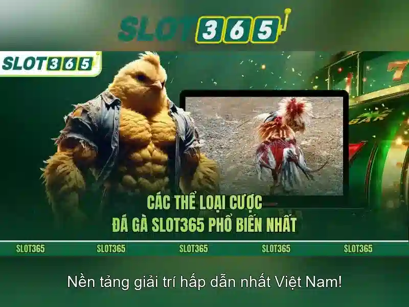 Giới thiệu về SLOT365