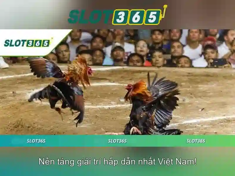 Ưu Điểm Nổi Bật Của Slot365 iOS