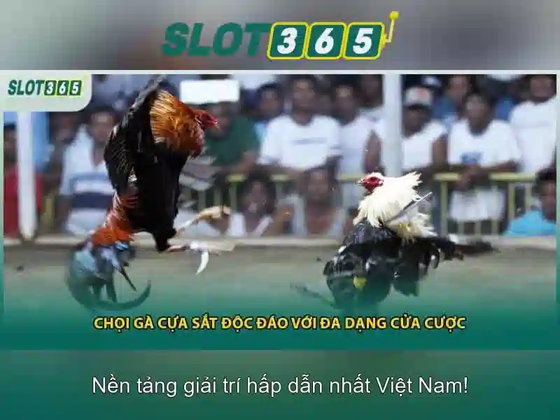 ưu đãi slot365 tang 200k