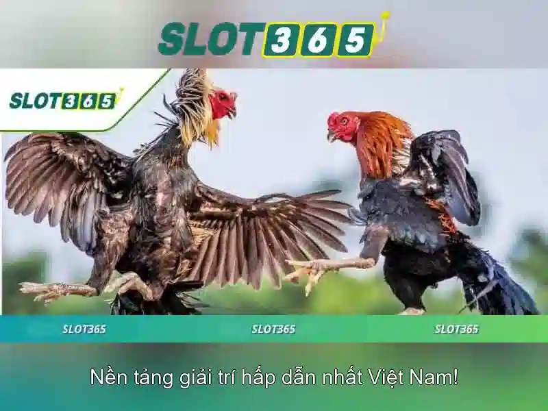SLOT365 Casino