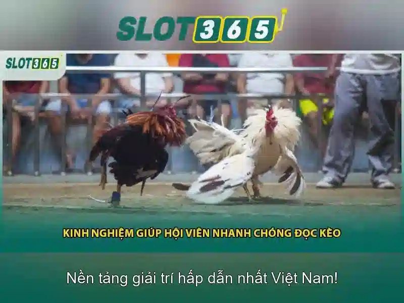 Kho Game Slot365
