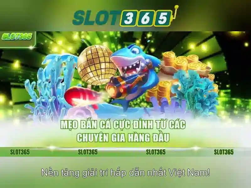 Hoki Slot365