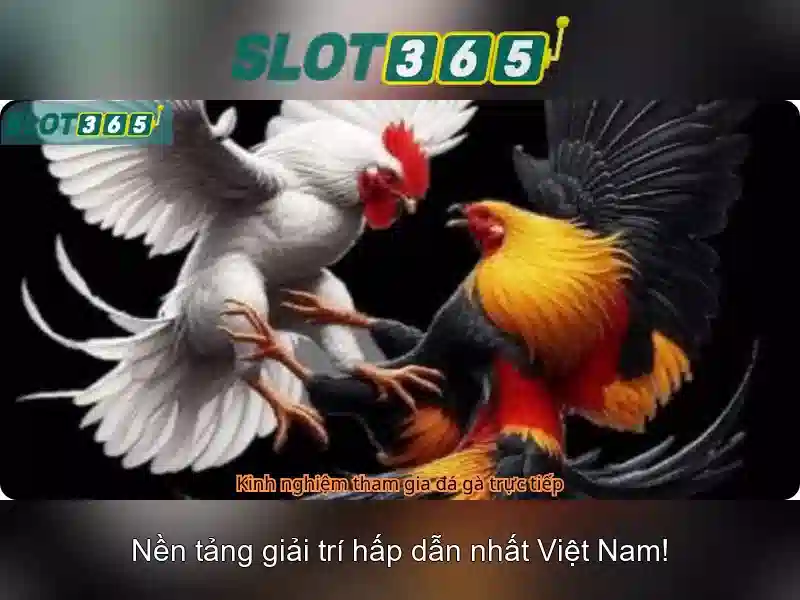SLOT365 Casino