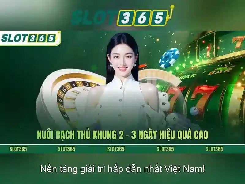Hướng Dẫn Nhận Tiền Thưởng Slot365